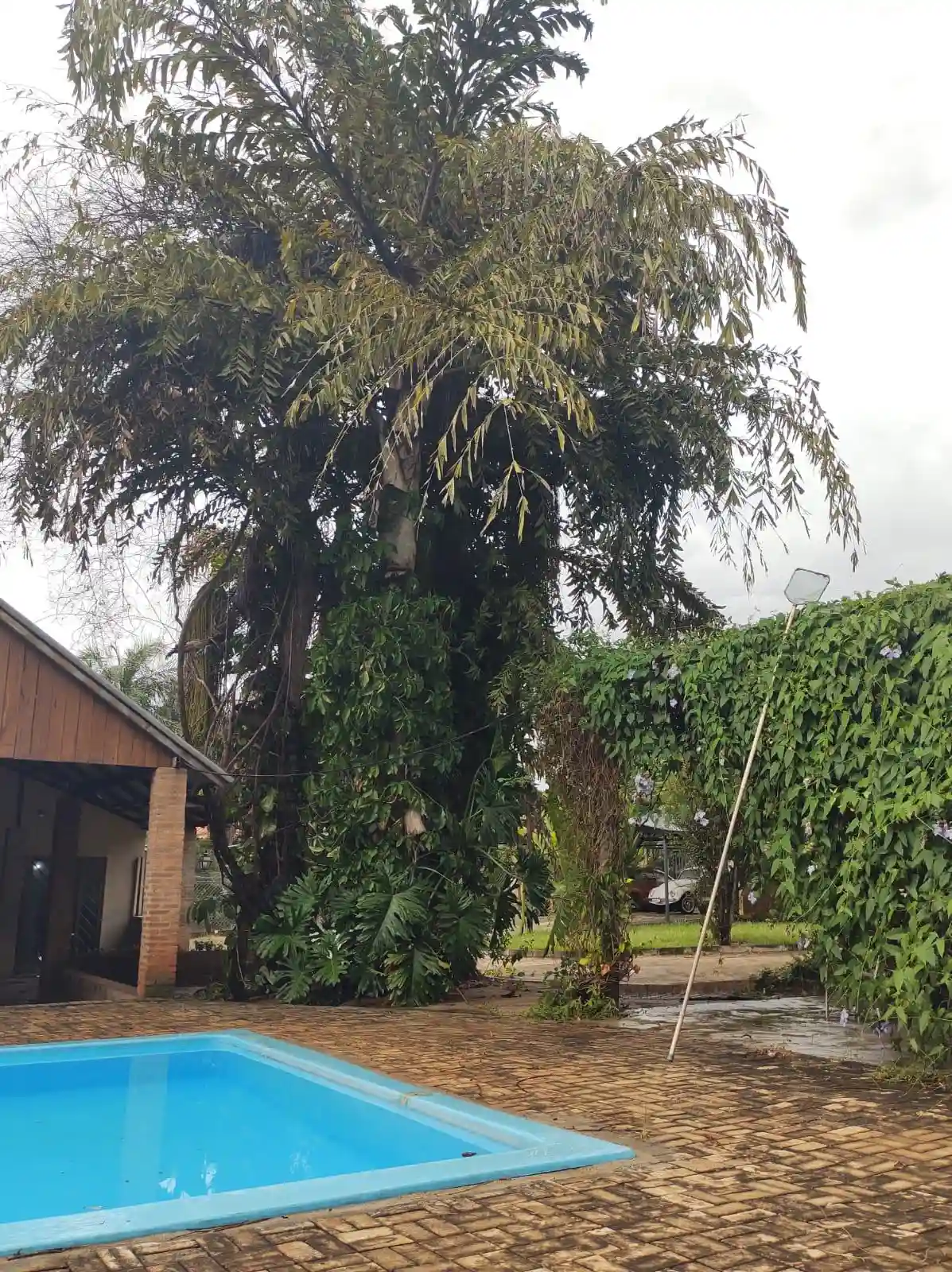 Fazenda / Sítio / Chácara  à venda, 5390m² — foto 21 de 27