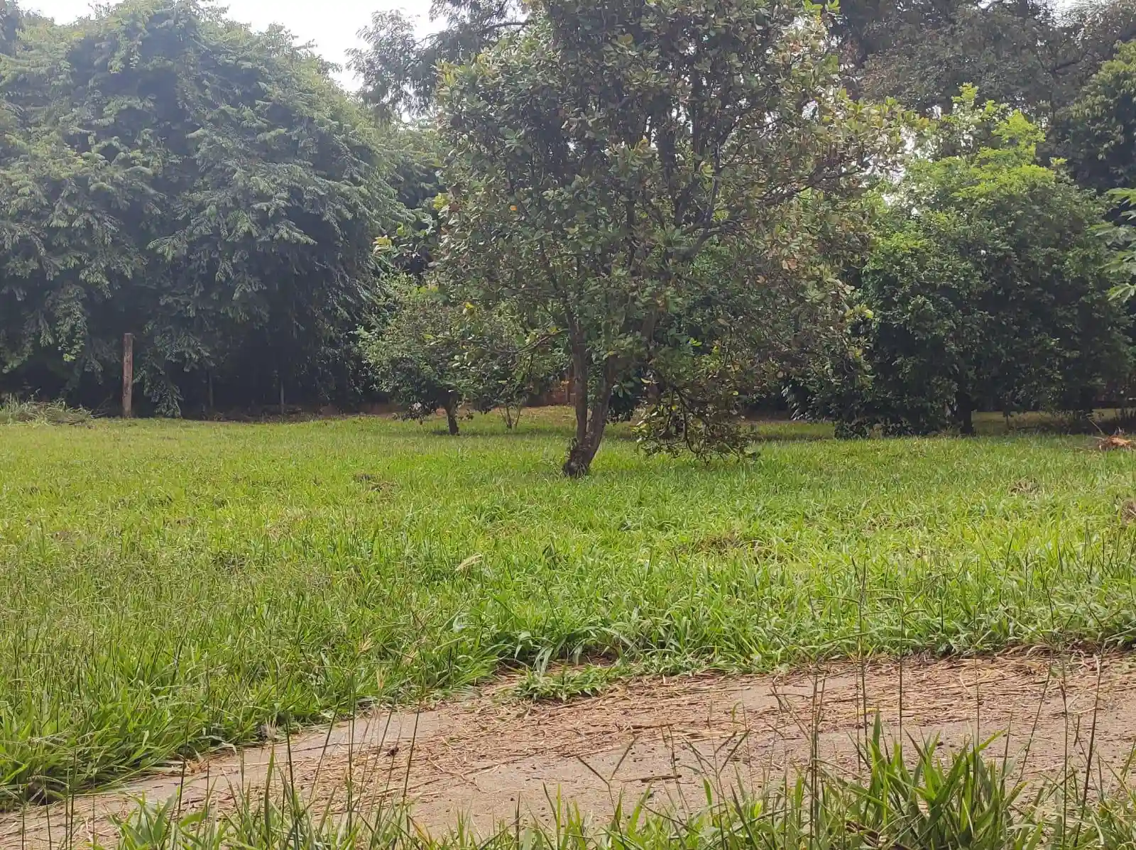 Fazenda / Sítio / Chácara  à venda, 5390m² — foto 12 de 27