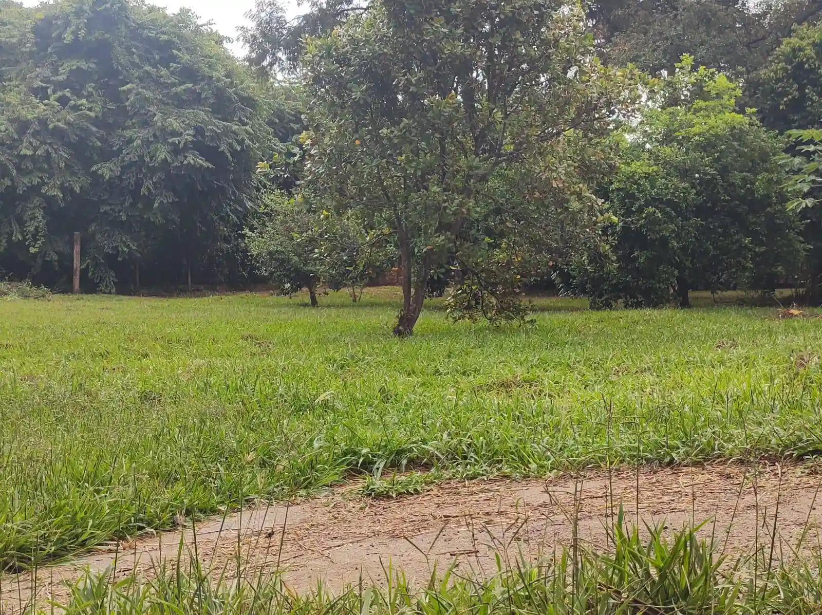 Fazenda / Sítio / Chácara  à venda, 5390m² — foto 9 de 27