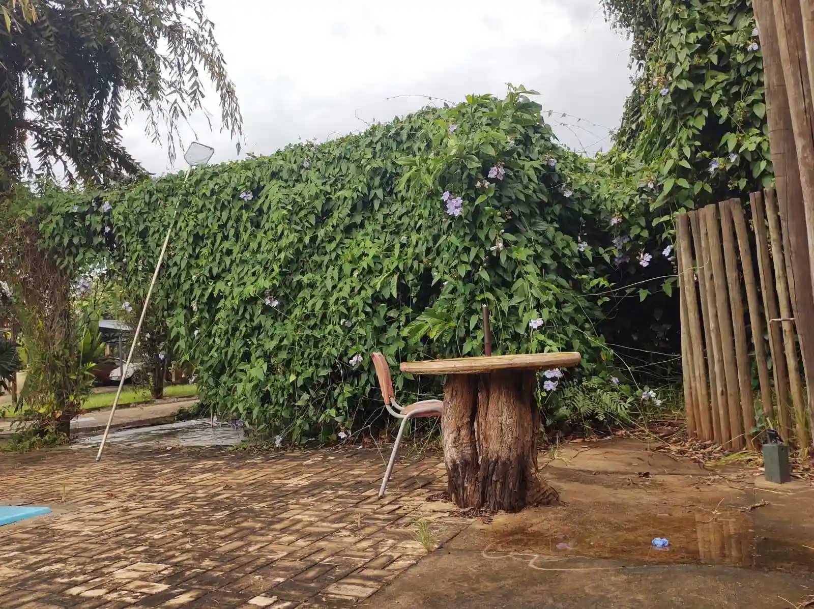 Fazenda / Sítio / Chácara  à venda, 5390m² — foto 16 de 27