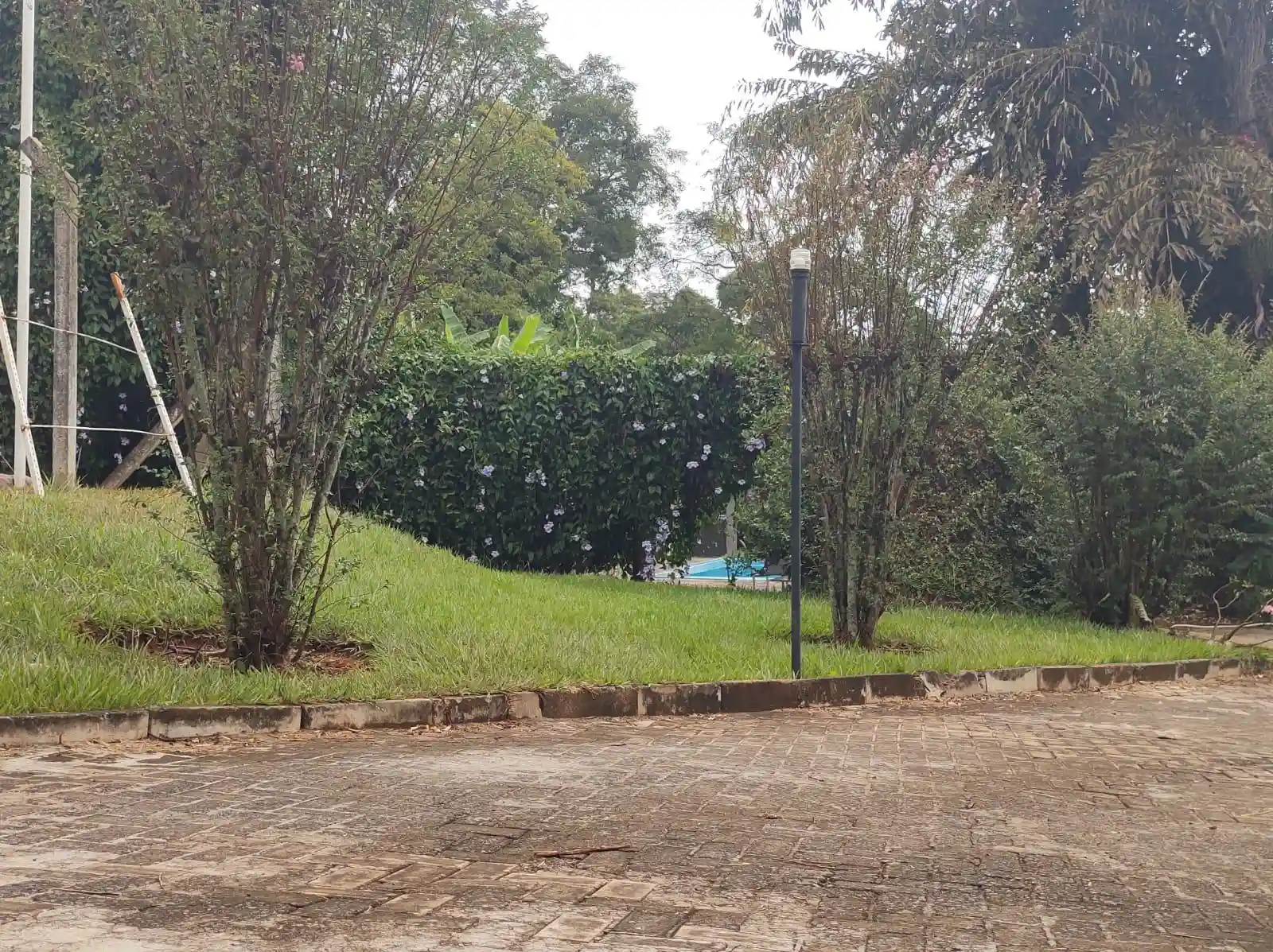 Fazenda / Sítio / Chácara  à venda, 5390m² — foto 8 de 27