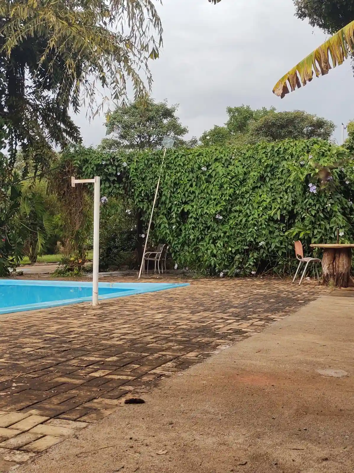 Fazenda / Sítio / Chácara  à venda, 5390m² — foto 4 de 27