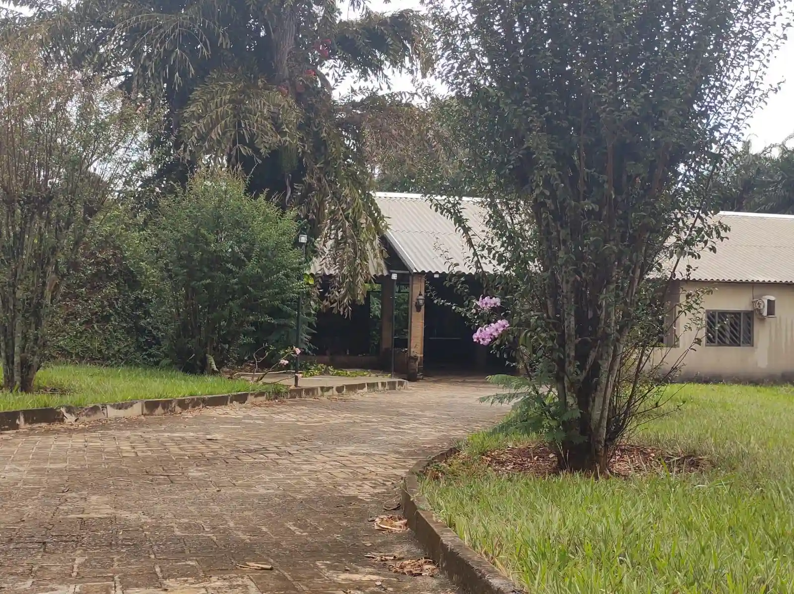 Fazenda / Sítio / Chácara  à venda, 5390m² — foto 17 de 27