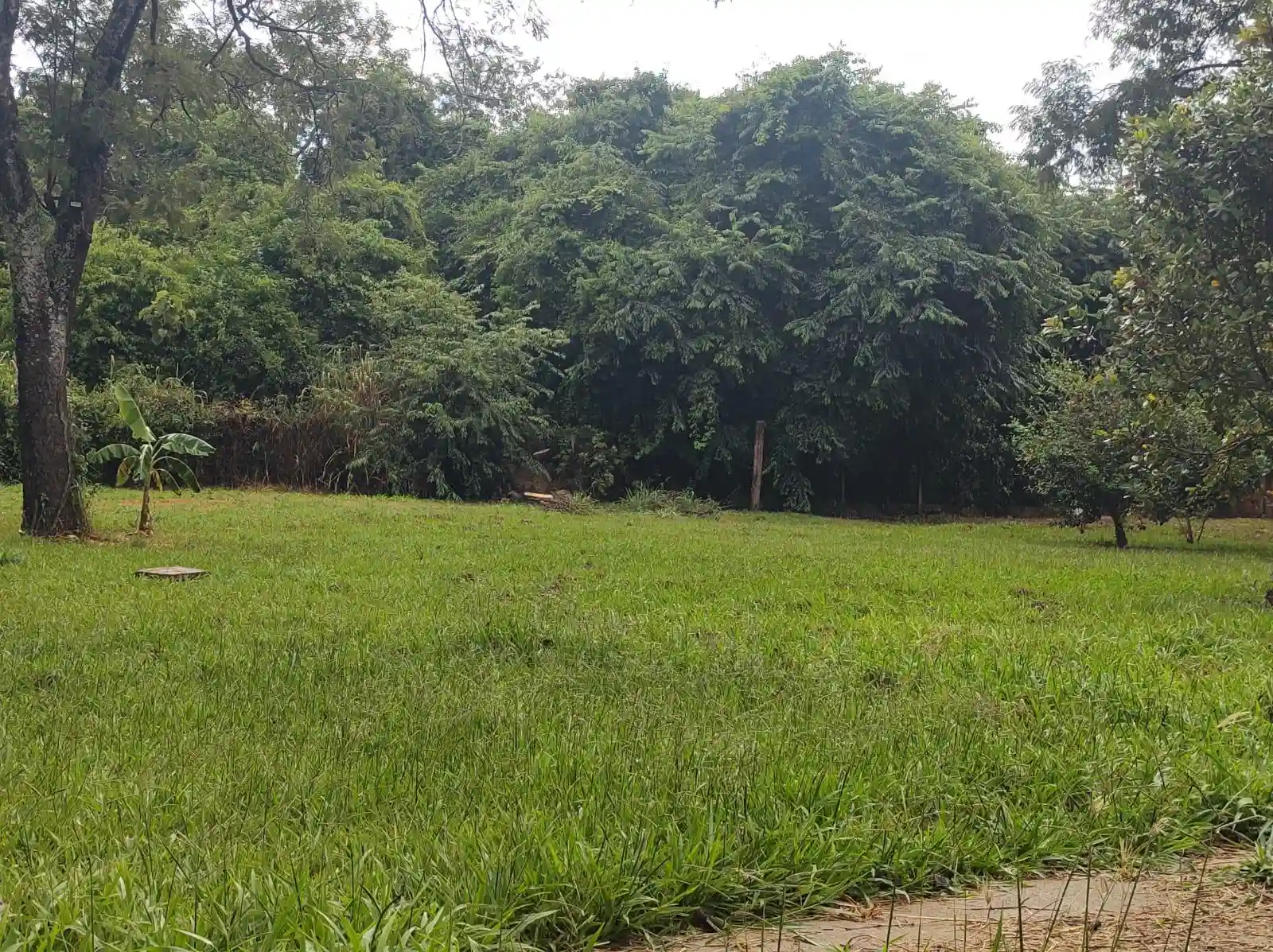 Fazenda / Sítio / Chácara  à venda, 5390m² — foto 14 de 27