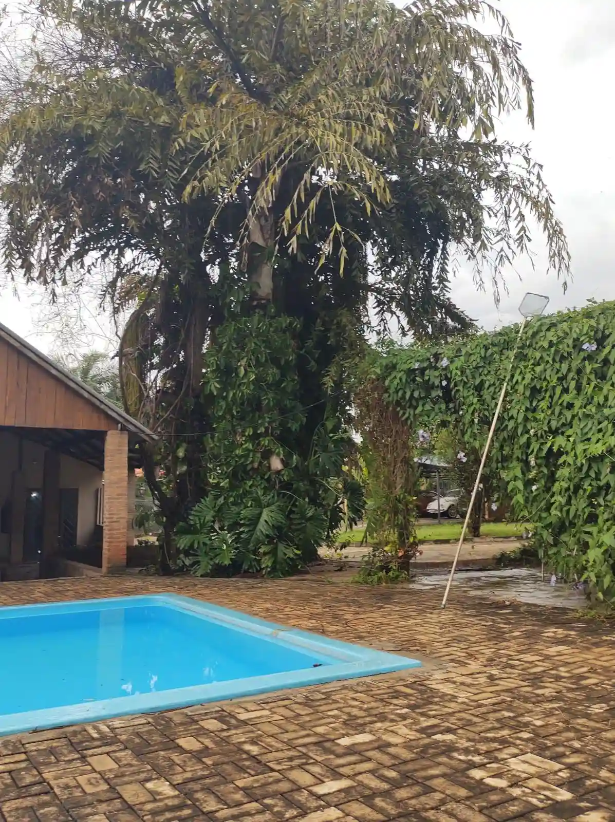 Fazenda / Sítio / Chácara  à venda, 5390m² — foto 22 de 27