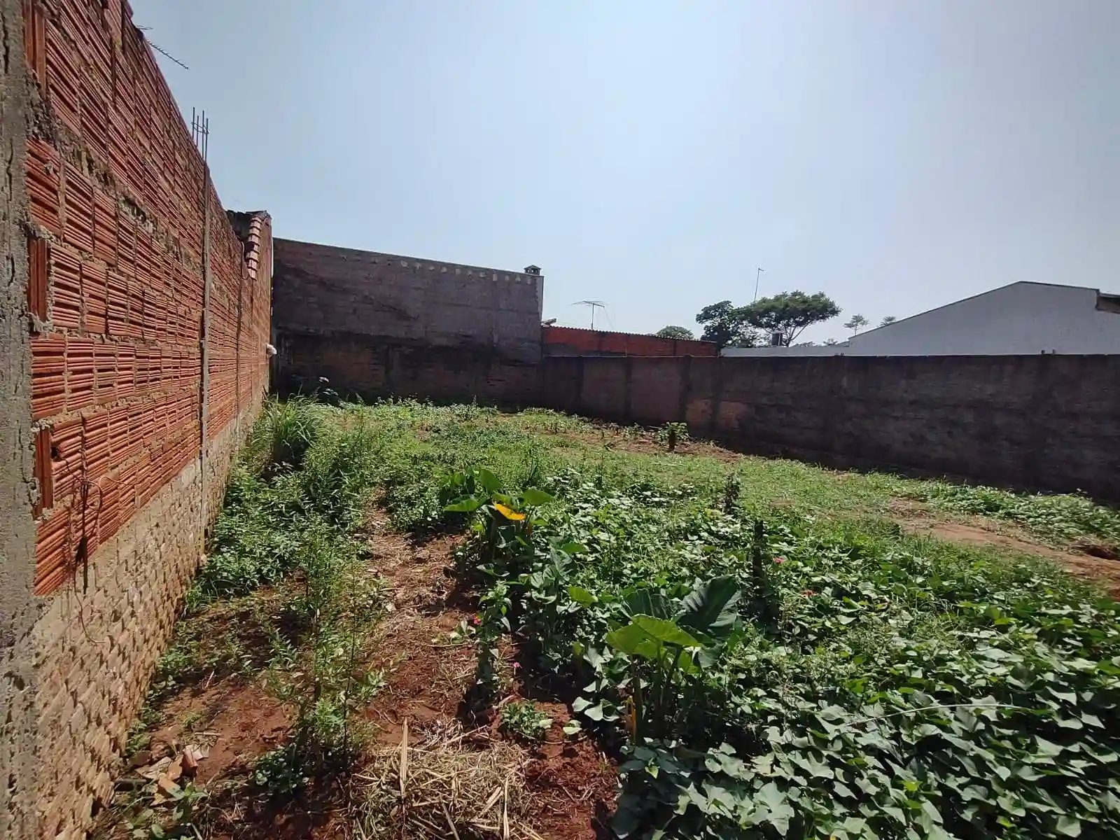 Terreno / Lote / Condomínio  à venda, 200m² — foto 2 de 5