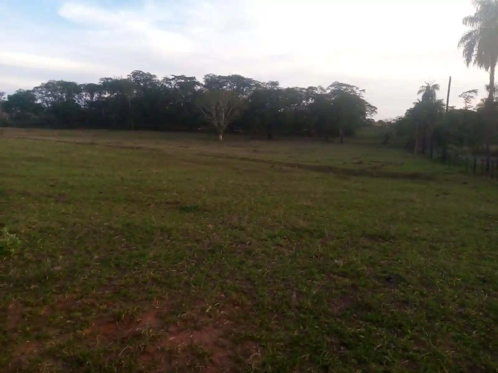 Fazenda / Sítio / Chácara com 2 quartos à venda, 48400m² — foto 14 de 17