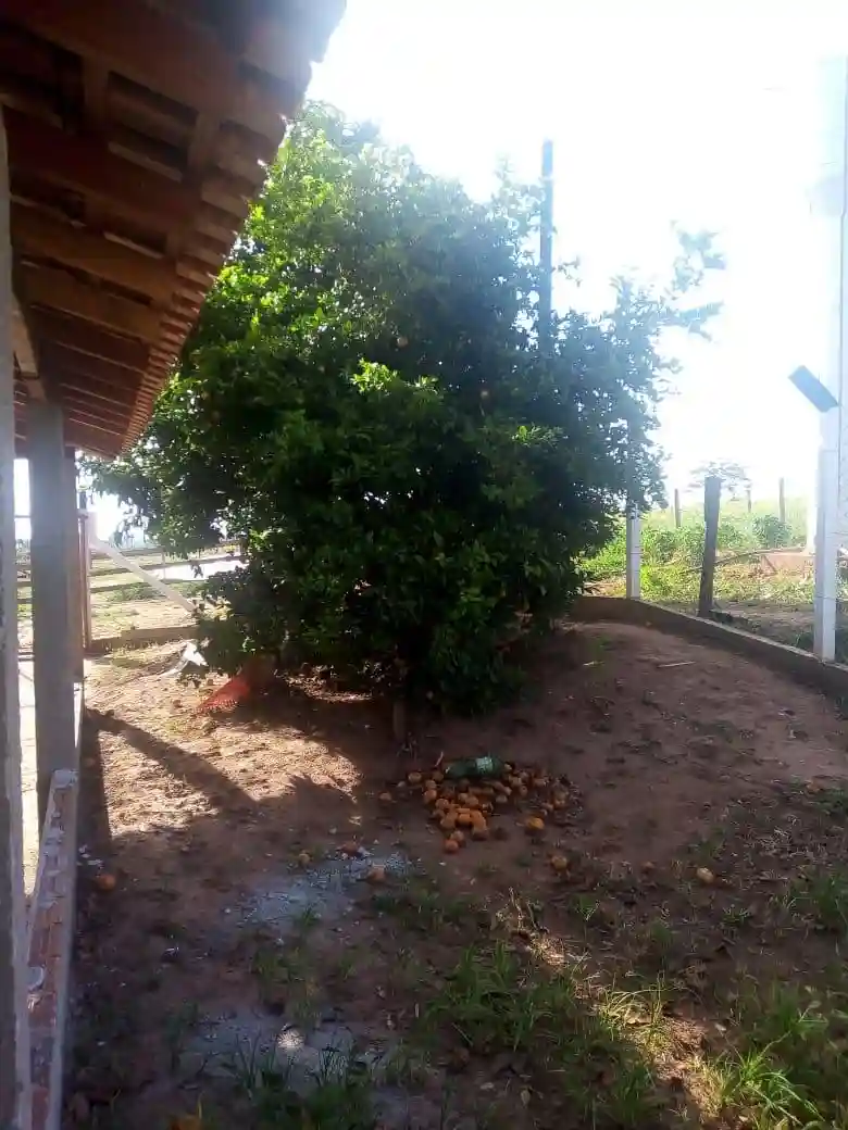 Fazenda / Sítio / Chácara com 2 quartos à venda, 48400m² — foto 2 de 17