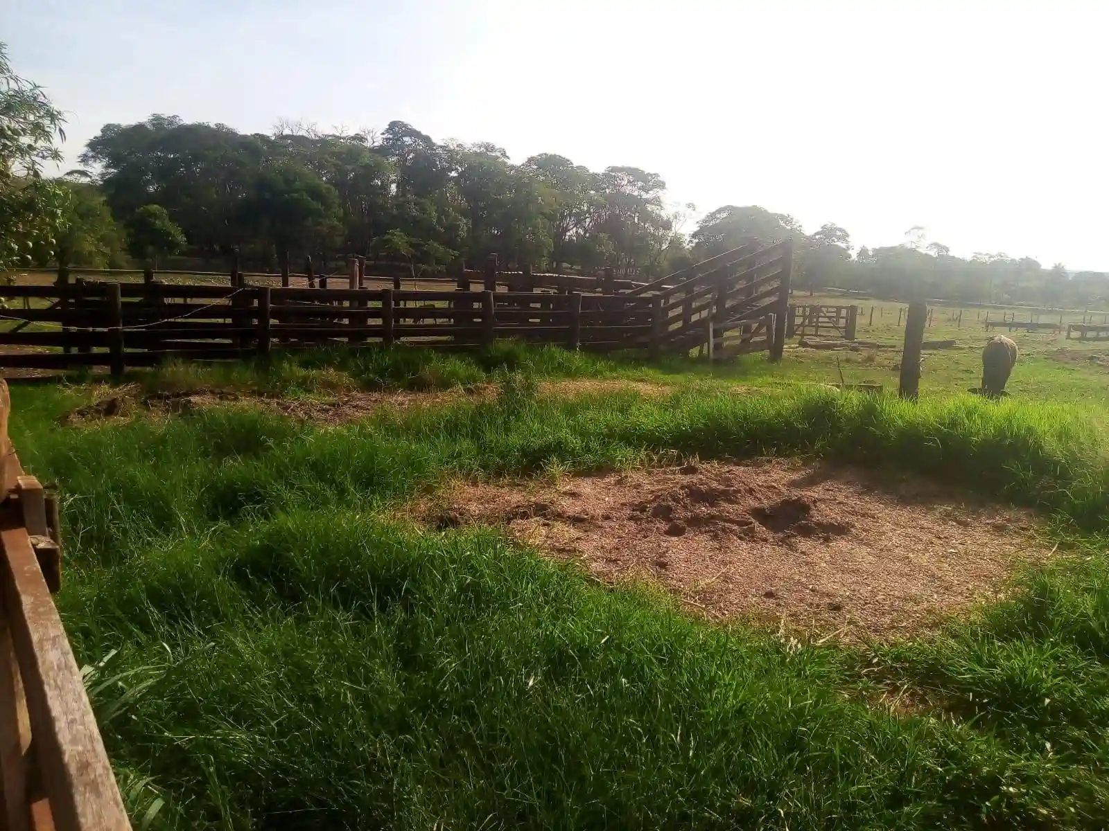 Fazenda / Sítio / Chácara com 2 quartos à venda, 48400m² — foto 9 de 17