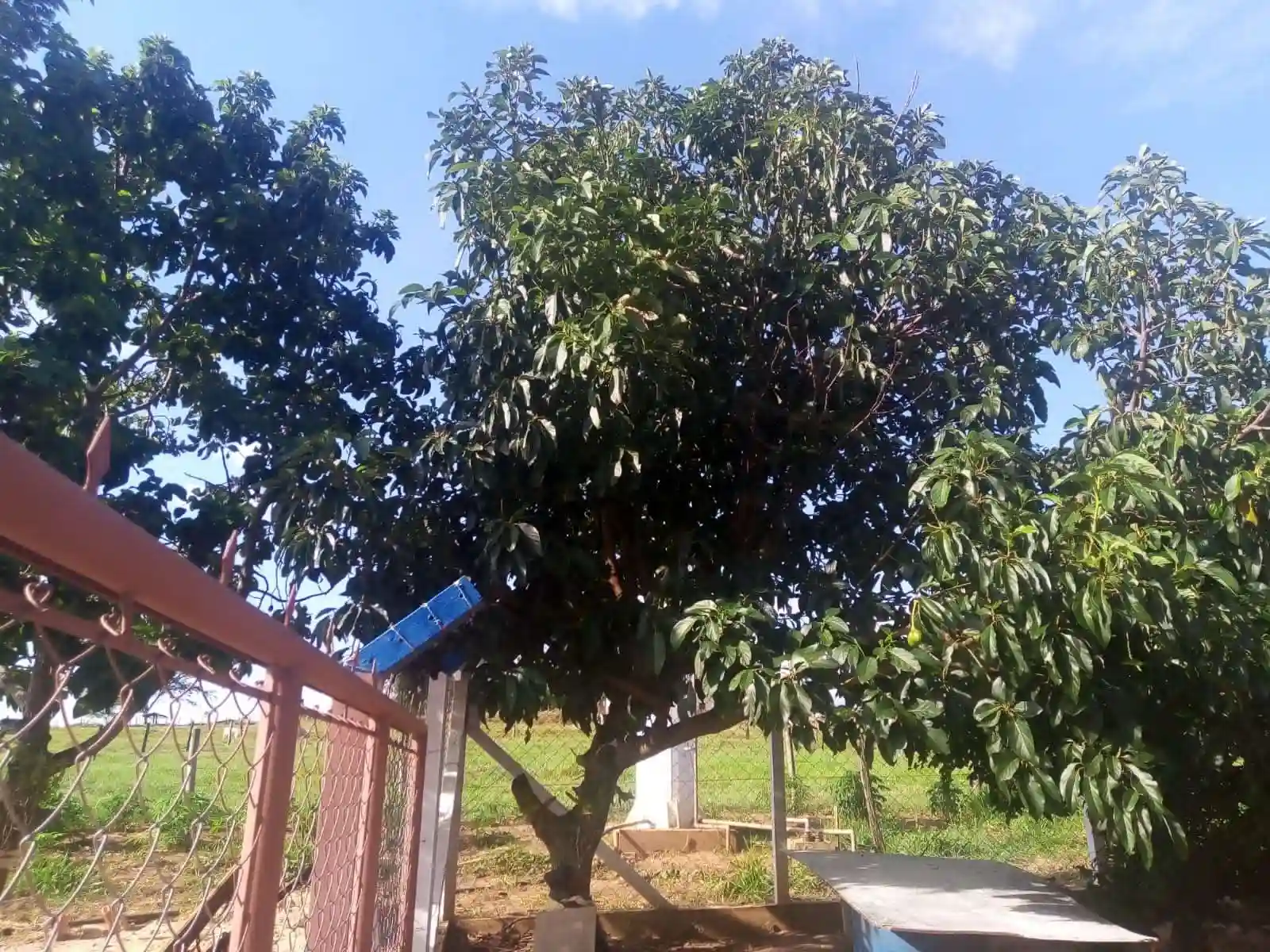 Fazenda / Sítio / Chácara com 2 quartos à venda, 48400m² — foto 11 de 17