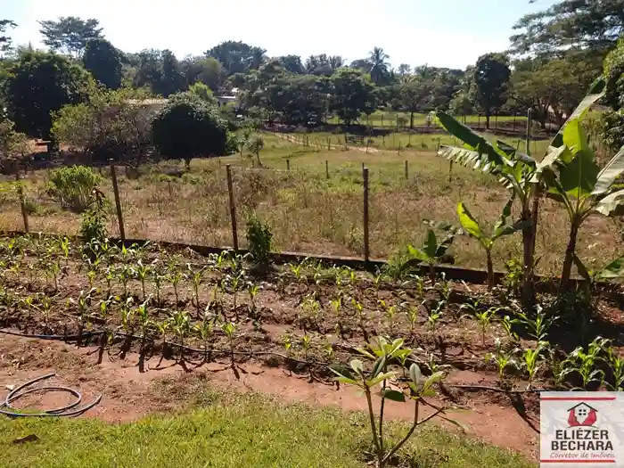 Fazenda / Sítio / Chácara à venda — foto 26 de 36