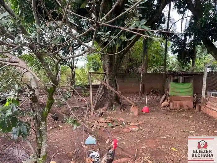 Fazenda / Sítio / Chácara com 4 quartos à venda, 5000m² — foto 46 de 54