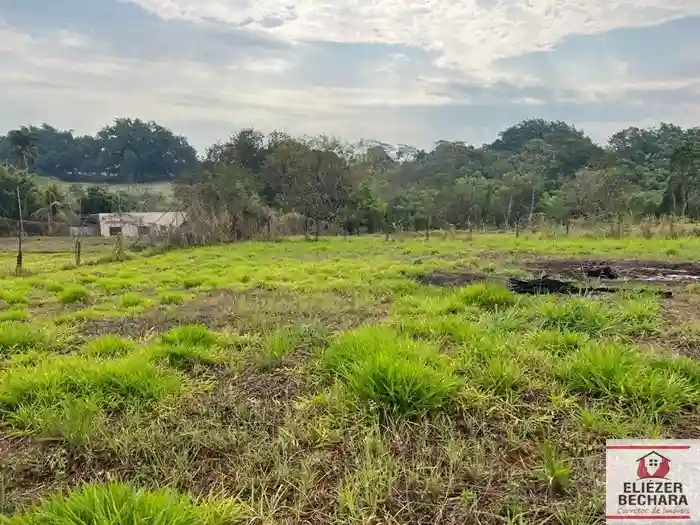Fazenda / Sítio / Chácara com 4 quartos à venda, 5000m² — foto 18 de 54