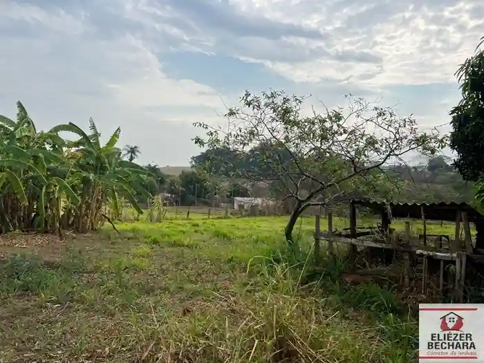 Fazenda / Sítio / Chácara com 4 quartos à venda, 5000m² — foto 21 de 54