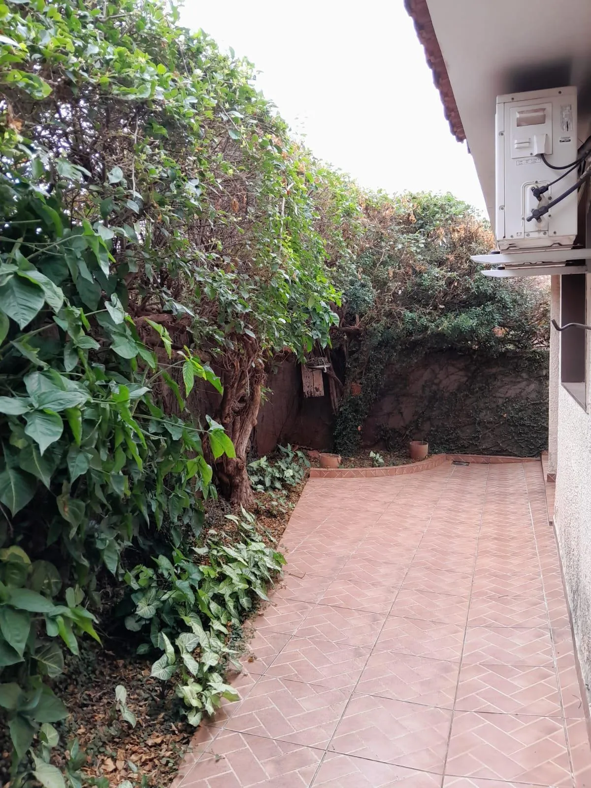 Casa com 3 quartos à venda, 242m² — foto 14 de 25