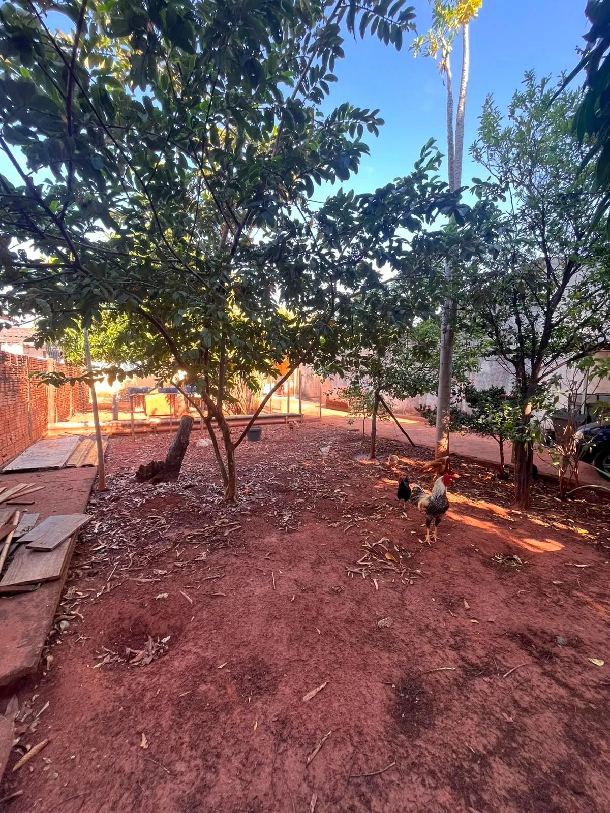 Casa com 1 quarto à venda, 41m² — foto 13 de 13