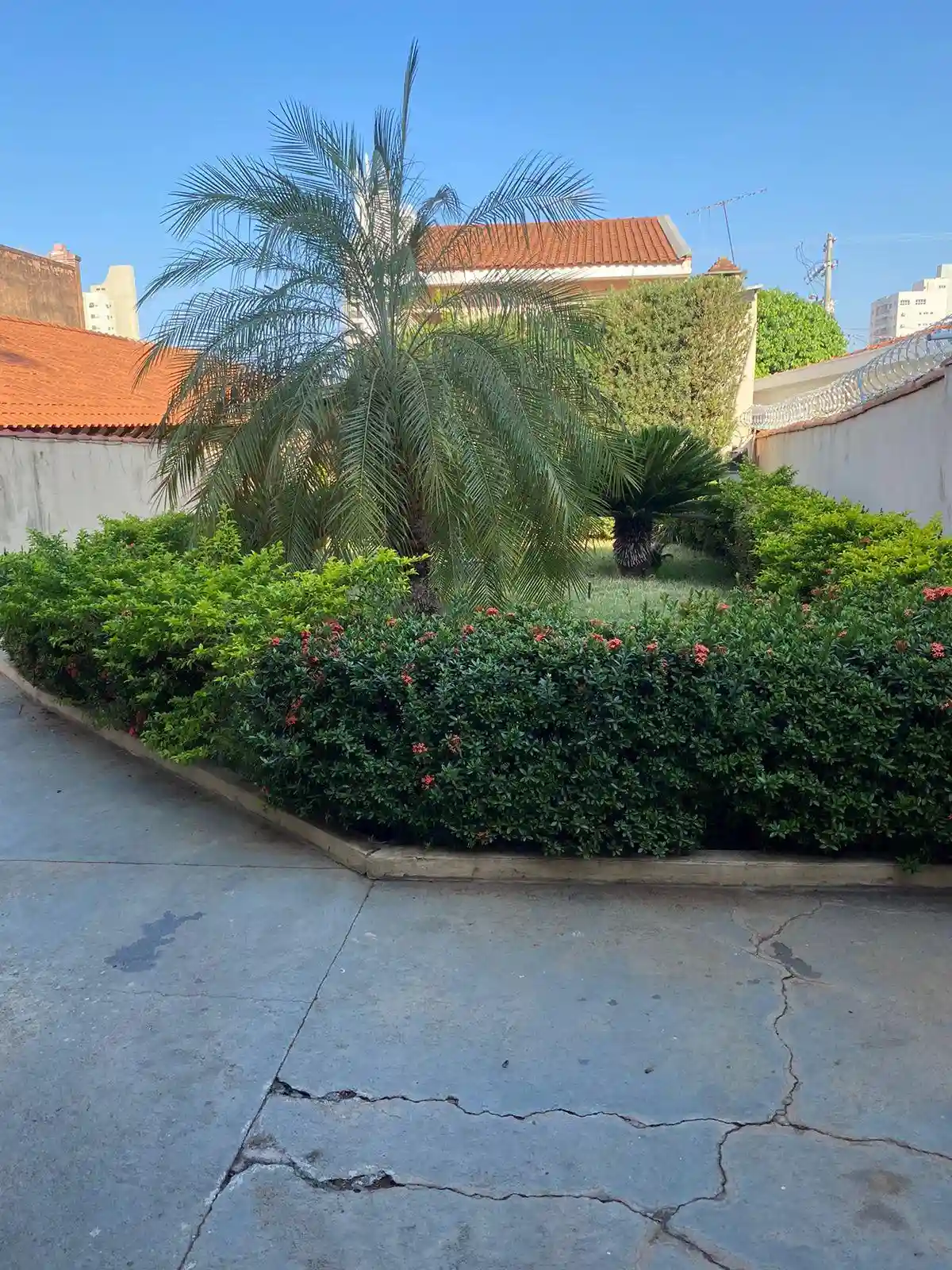 Sobrado com 3 quartos à venda, 352m² — foto 11 de 13