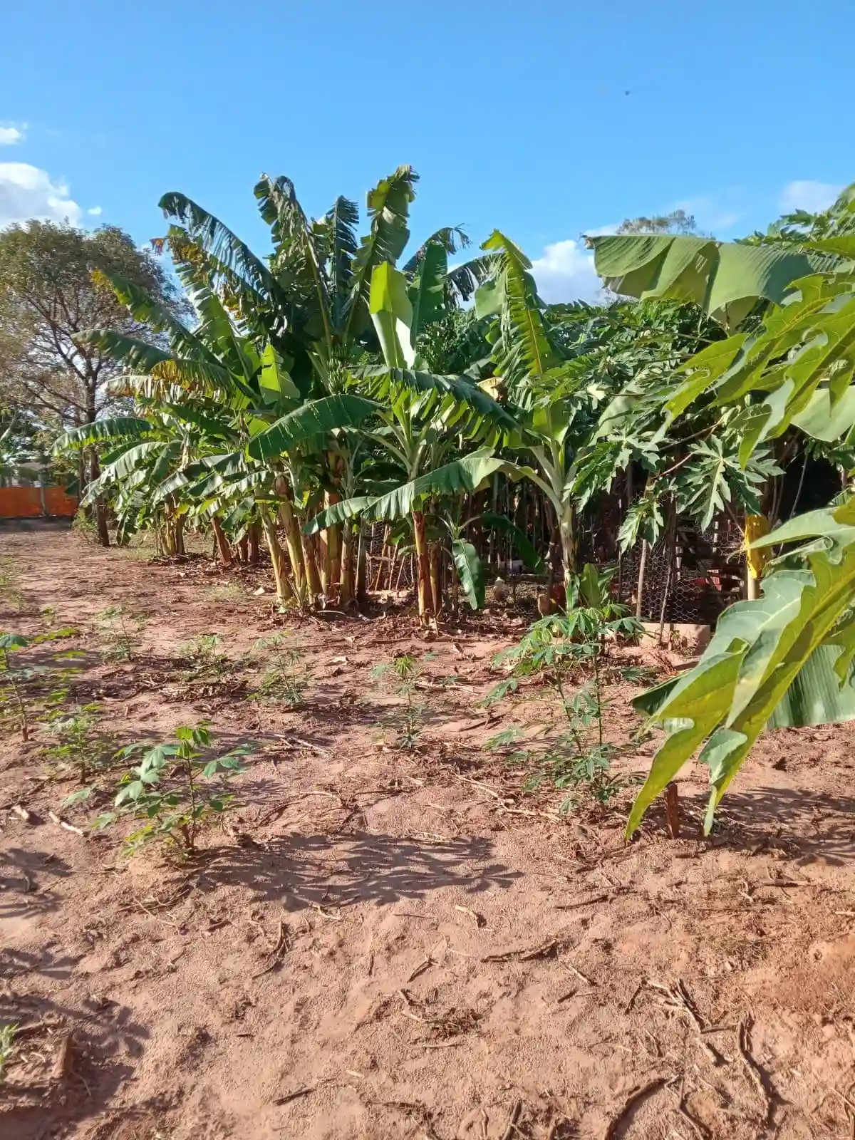 Fazenda / Sítio / Chácara com 3 quartos à venda, 3318m² — foto 3 de 7