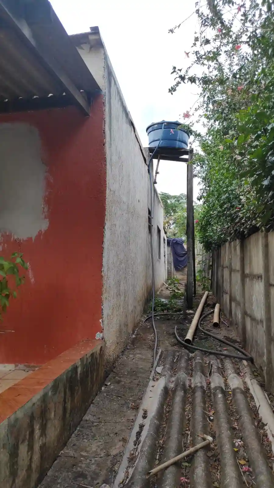 Fazenda / Sítio / Chácara com 2 quartos à venda, 1000m² — foto 14 de 17