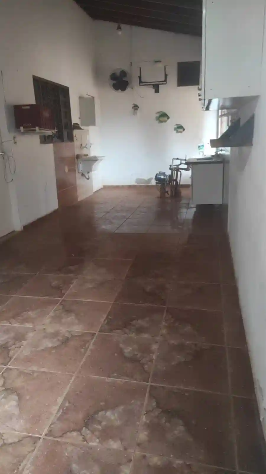 Fazenda / Sítio / Chácara com 2 quartos à venda, 1000m² — foto 12 de 17