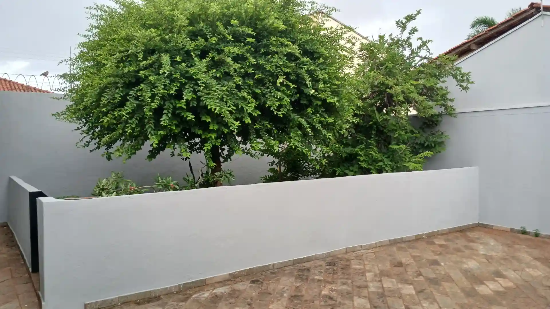Casa com 4 quartos à venda, 360m² — foto 51 de 53