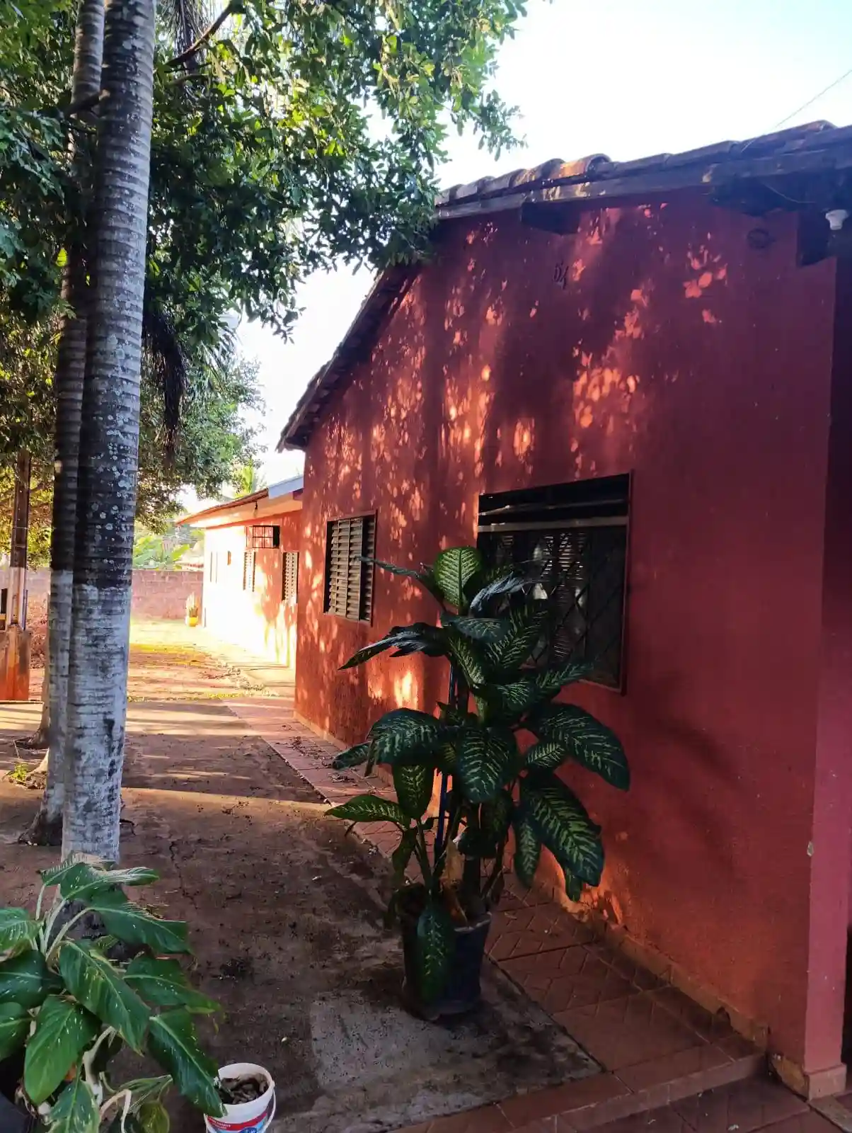 Fazenda / Sítio / Chácara com 3 quartos à venda, 2000m² — foto 19 de 26