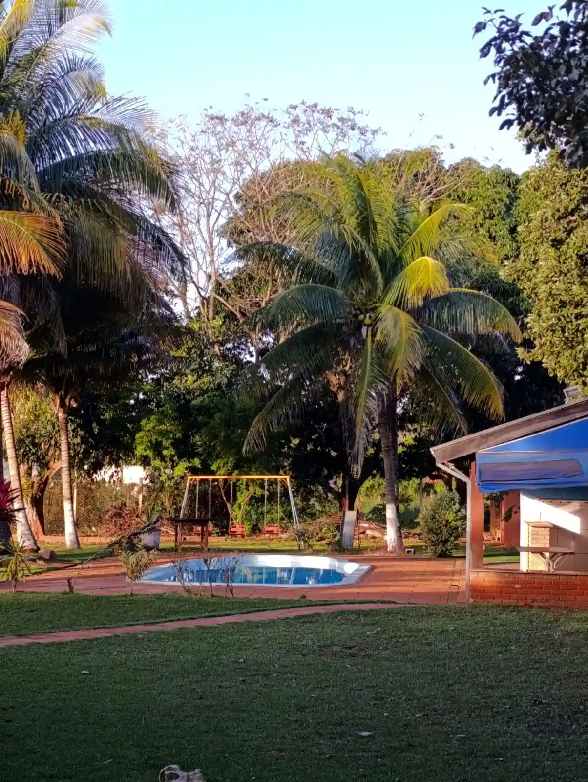 Fazenda / Sítio / Chácara com 3 quartos à venda, 2000m² — foto 5 de 26