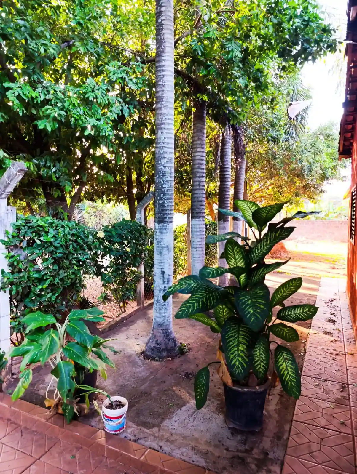 Fazenda / Sítio / Chácara com 3 quartos à venda, 2000m² — foto 10 de 26