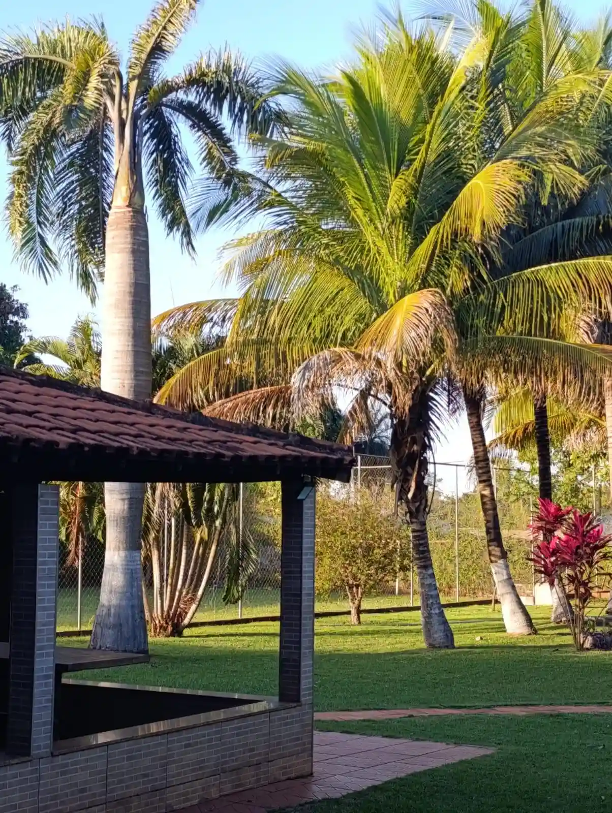 Fazenda / Sítio / Chácara com 3 quartos à venda, 2000m² — foto 1 de 26