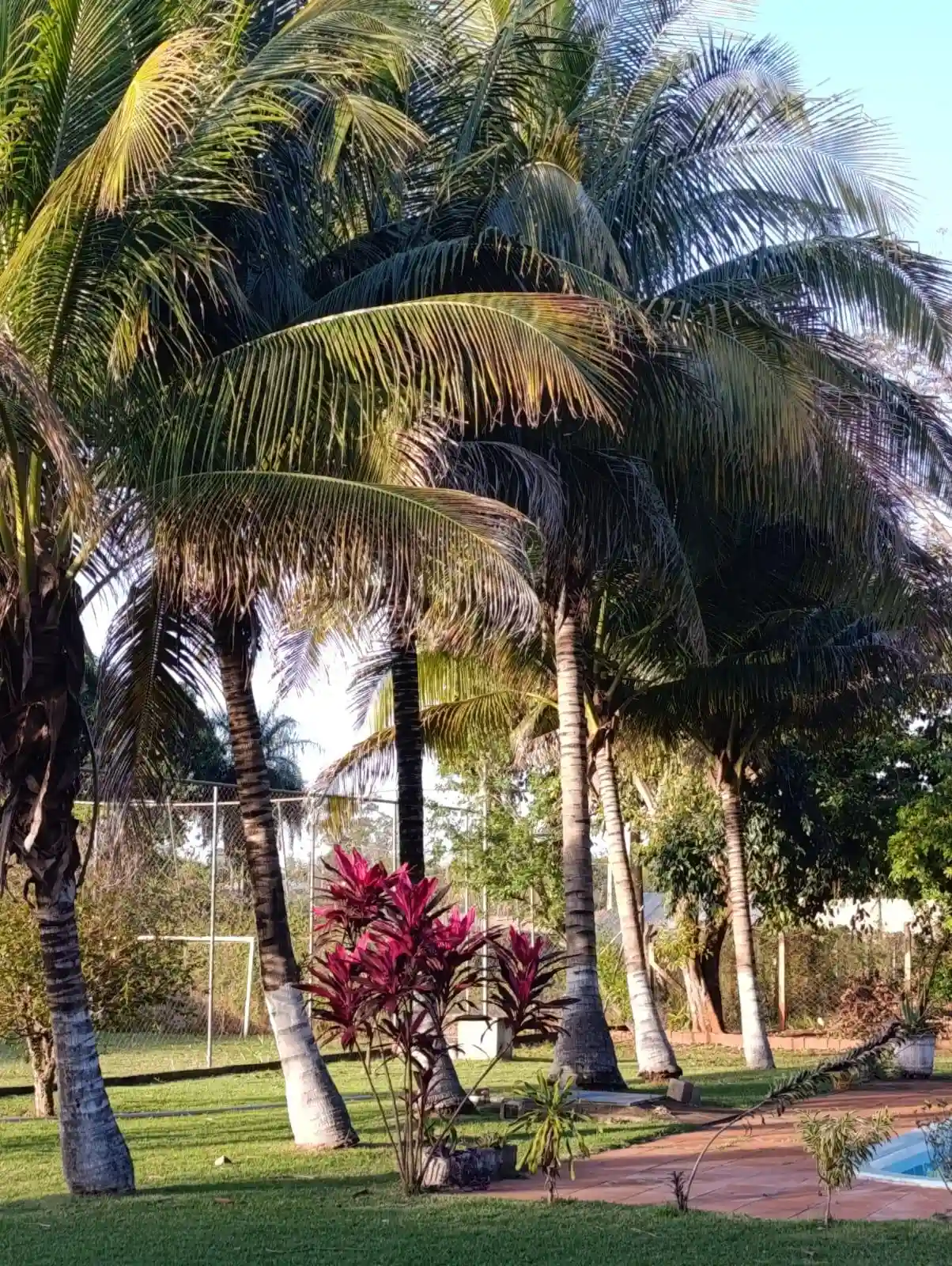 Fazenda / Sítio / Chácara com 3 quartos à venda, 2000m² — foto 6 de 26