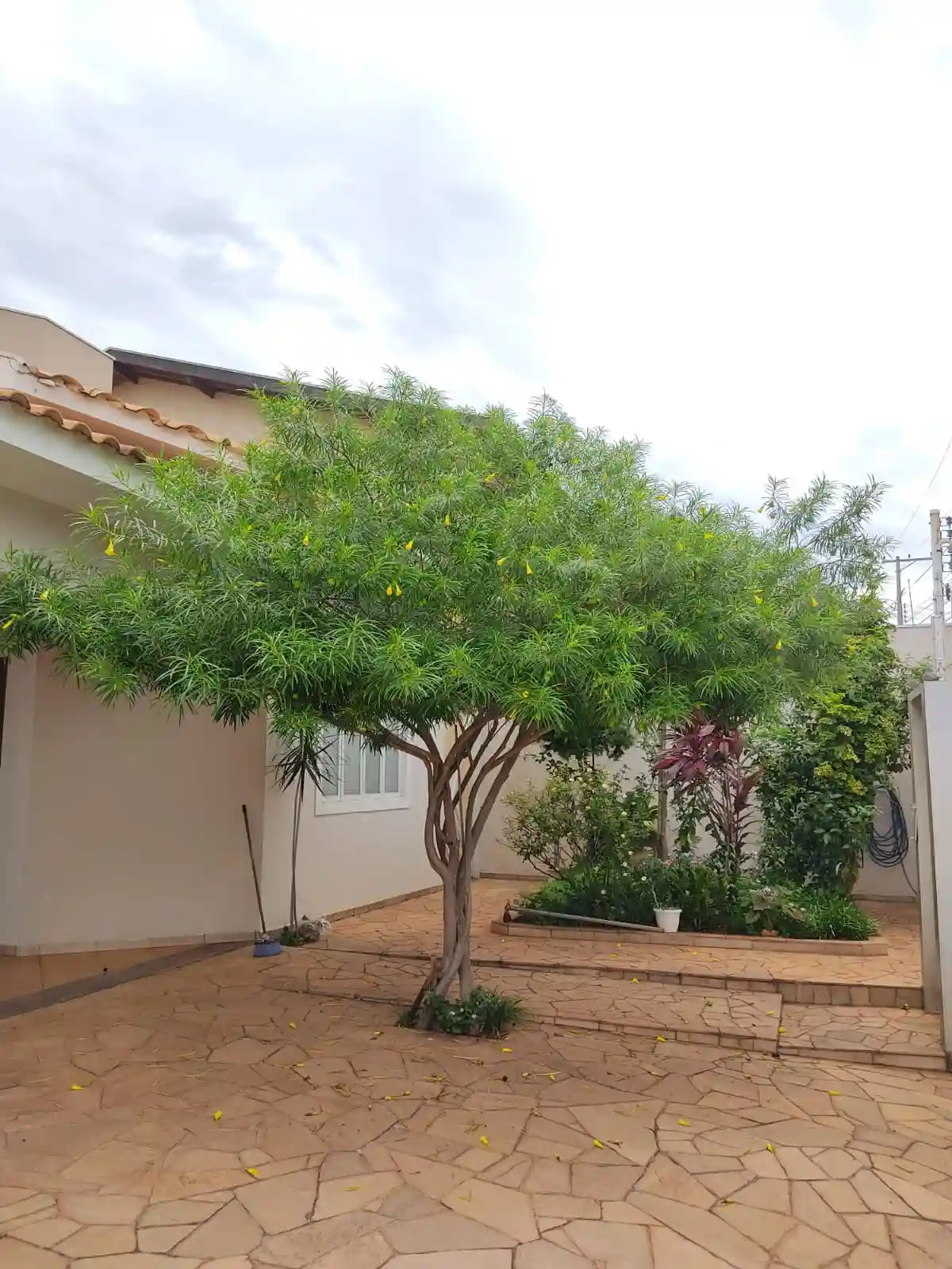 Casa à venda — foto 2 de 27