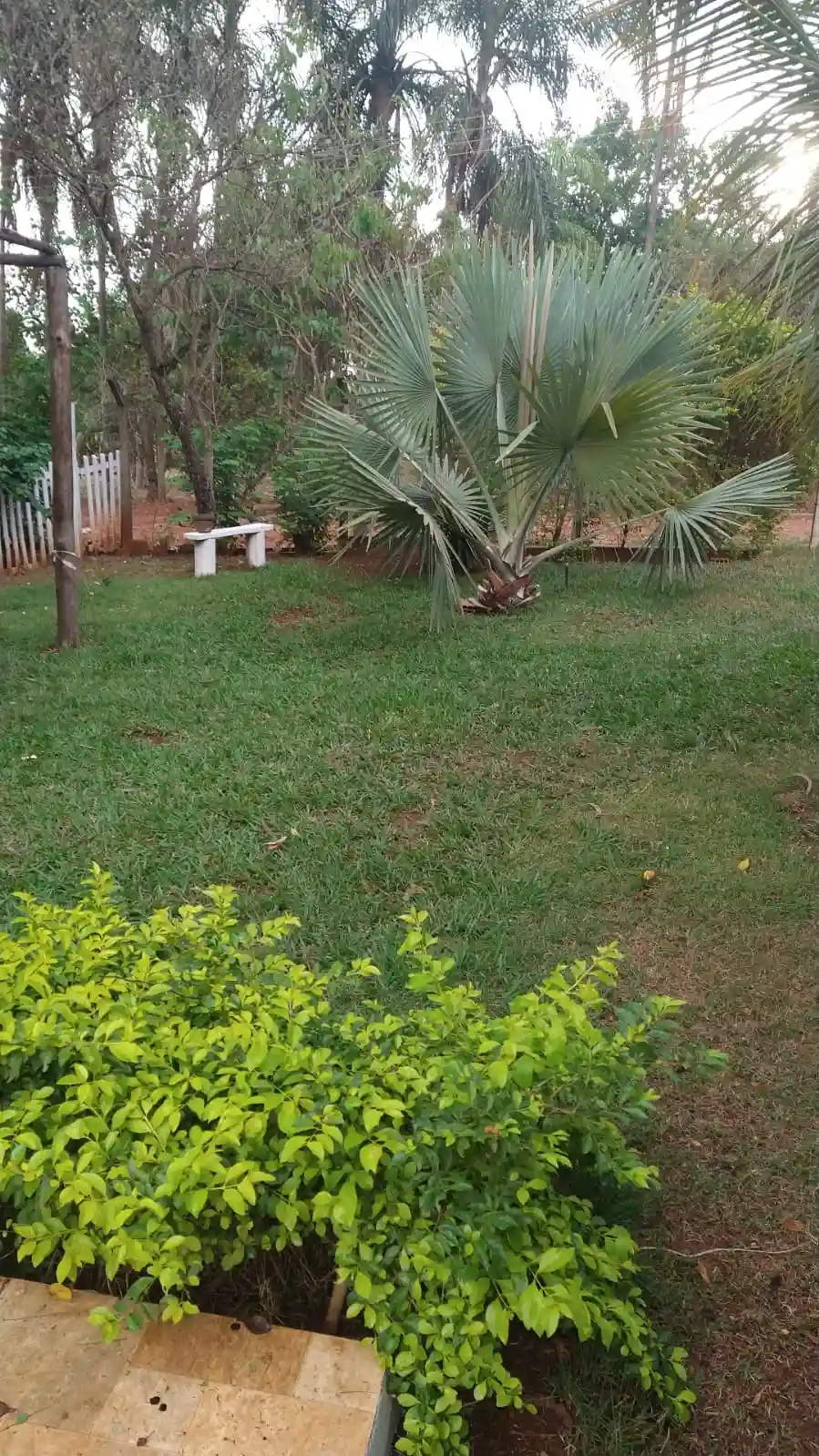 Fazenda / Sítio / Chácara com 2 quartos à venda, 1000m² — foto 4 de 14