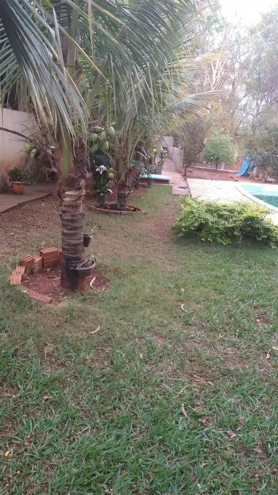 Fazenda / Sítio / Chácara com 2 quartos à venda, 1000m² — foto 1 de 14