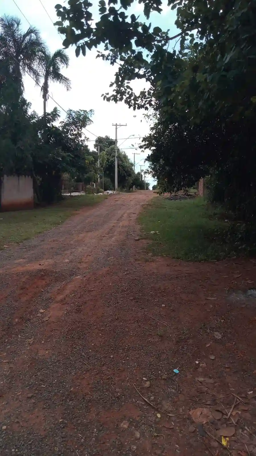 Fazenda / Sítio / Chácara com 2 quartos à venda, 1000m² — foto 12 de 14