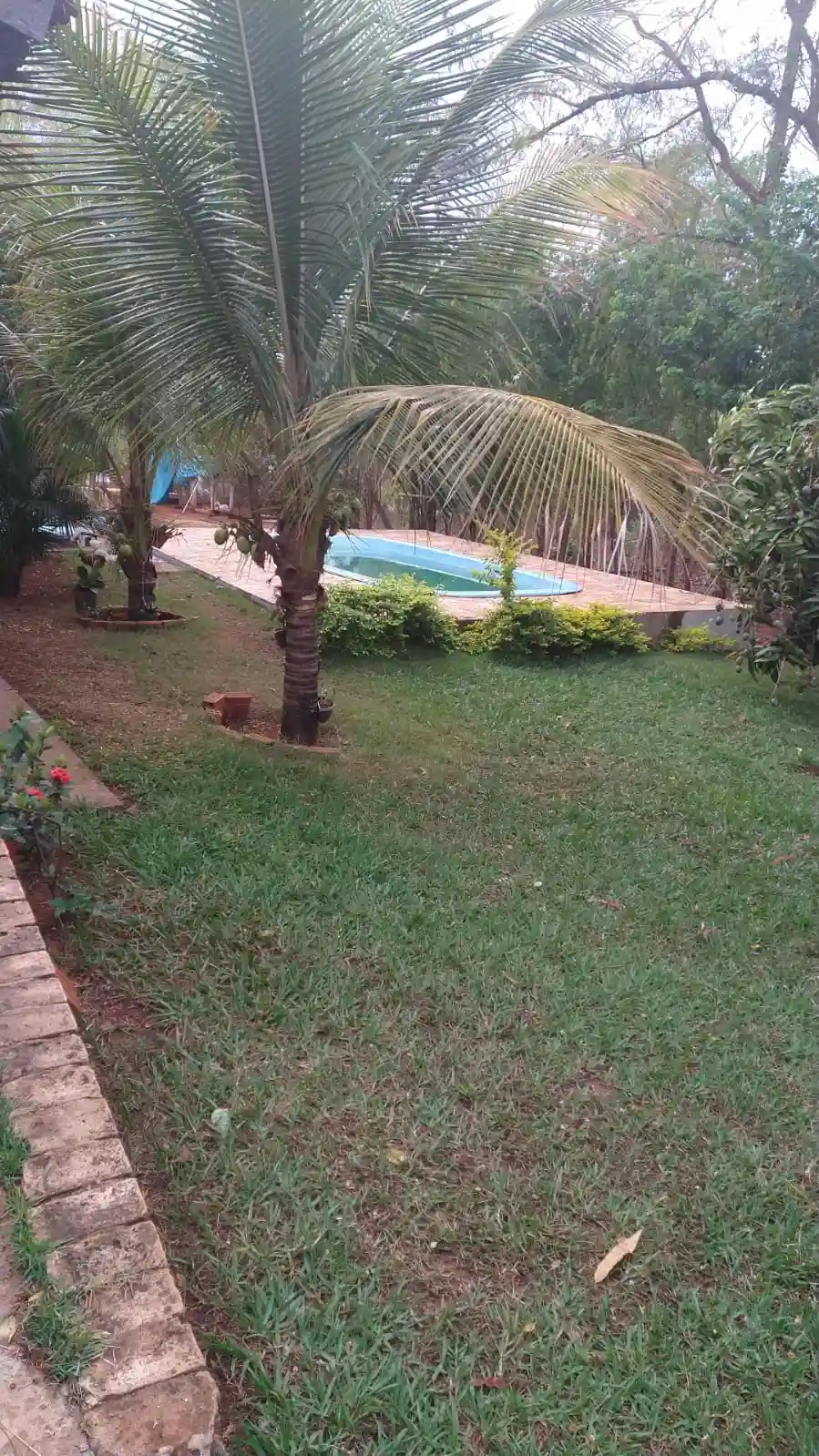 Fazenda / Sítio / Chácara com 2 quartos à venda, 1000m² — foto 3 de 14