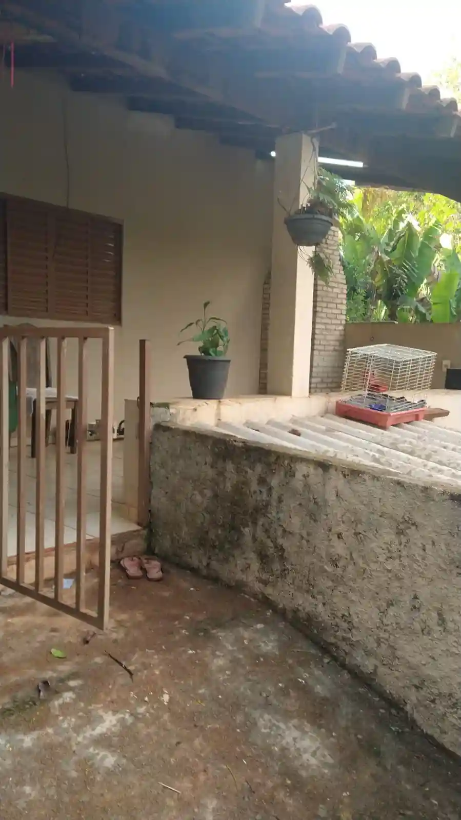 Fazenda / Sítio / Chácara com 2 quartos à venda, 1000m² — foto 5 de 14