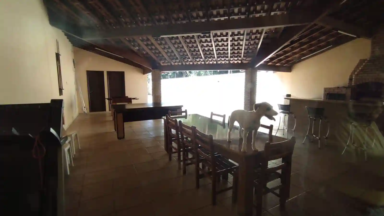 Fazenda / Sítio / Chácara com 3 quartos à venda, 1100m² — foto 36 de 48