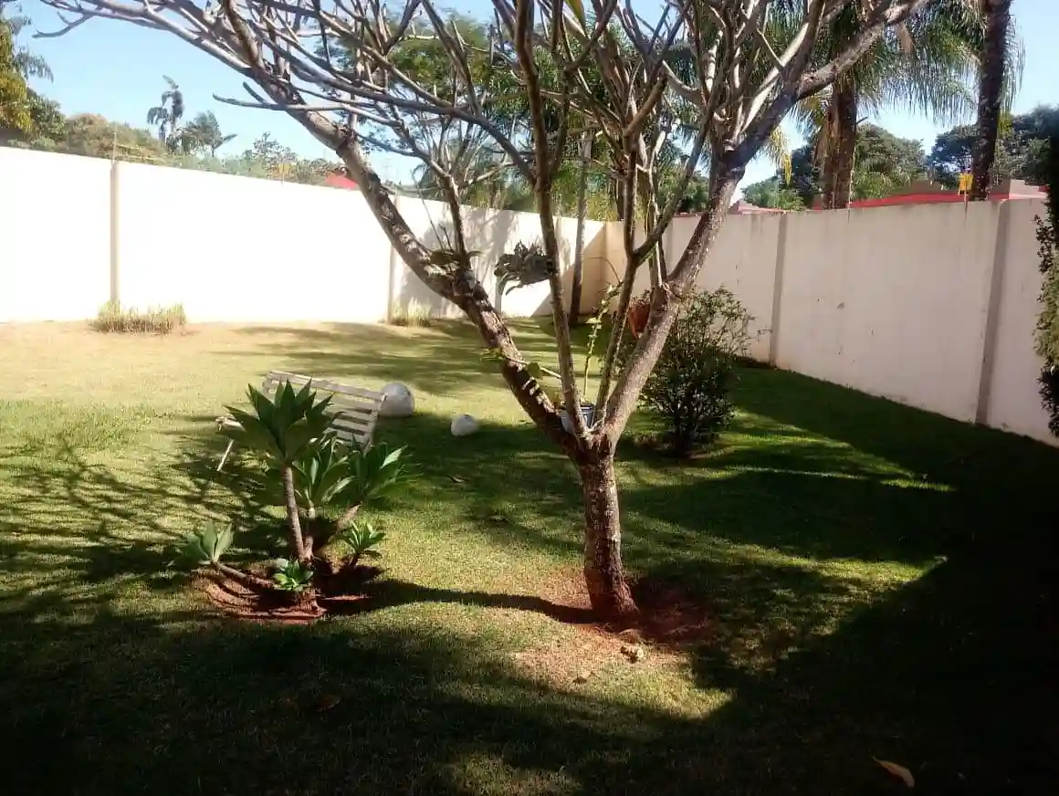 Fazenda / Sítio / Chácara com 3 quartos à venda, 1100m² — foto 47 de 48