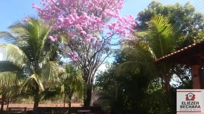Fazenda / Sítio / Chácara com 3 quartos à venda, 2000m² — foto 15 de 18