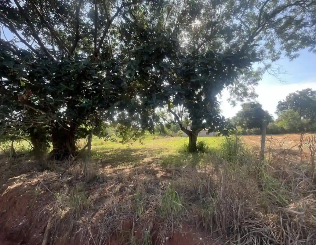 Fazenda / Sítio / Chácara  à venda, 1000m² — foto 7 de 10