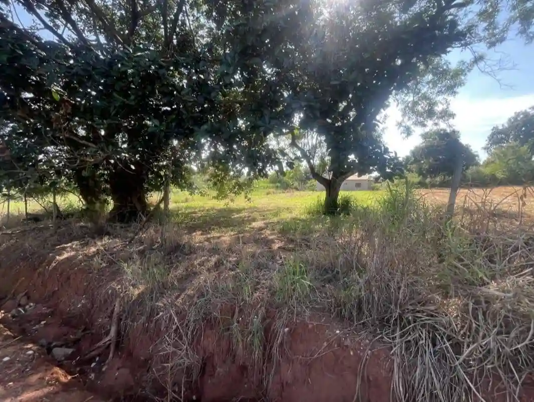 Fazenda / Sítio / Chácara  à venda, 1000m² — foto 10 de 10