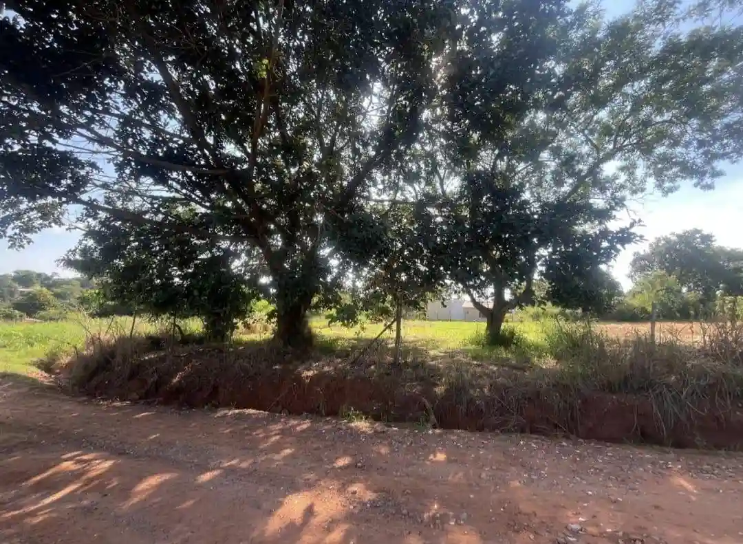 Fazenda / Sítio / Chácara  à venda, 1000m² — foto 9 de 10