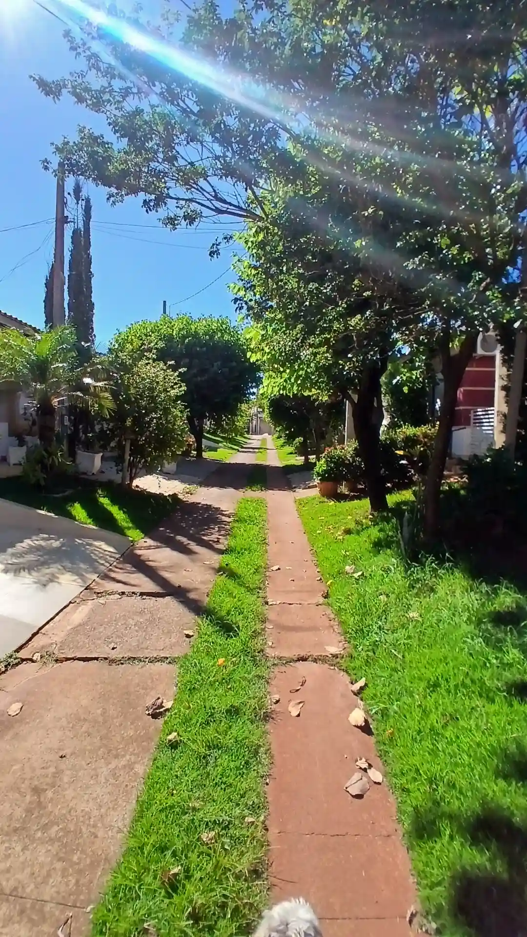 Casa de Condomínio com 3 quartos à venda, 60m² — foto 27 de 28