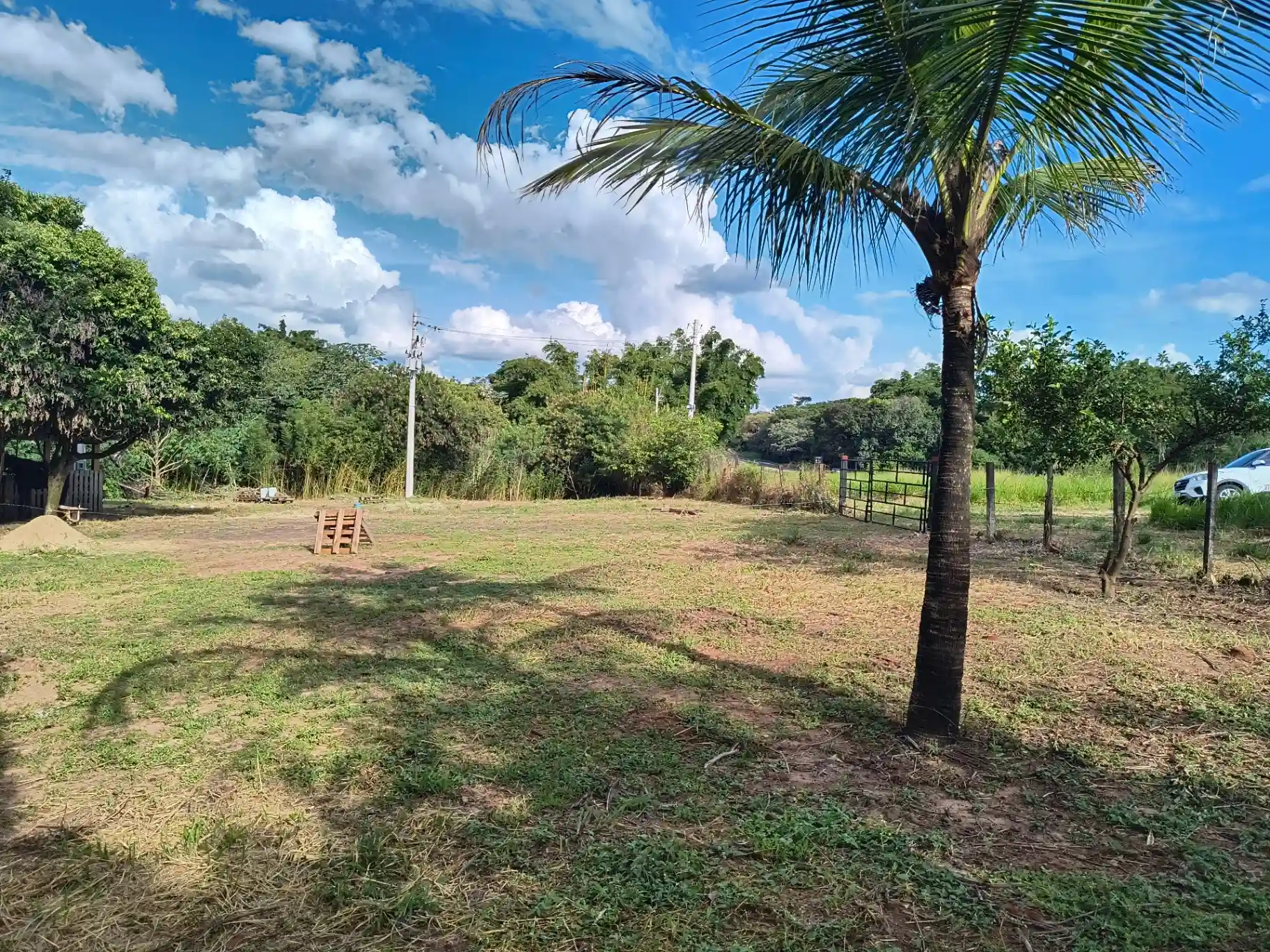 Área Comercial  à venda, 5162m² — foto 6 de 8