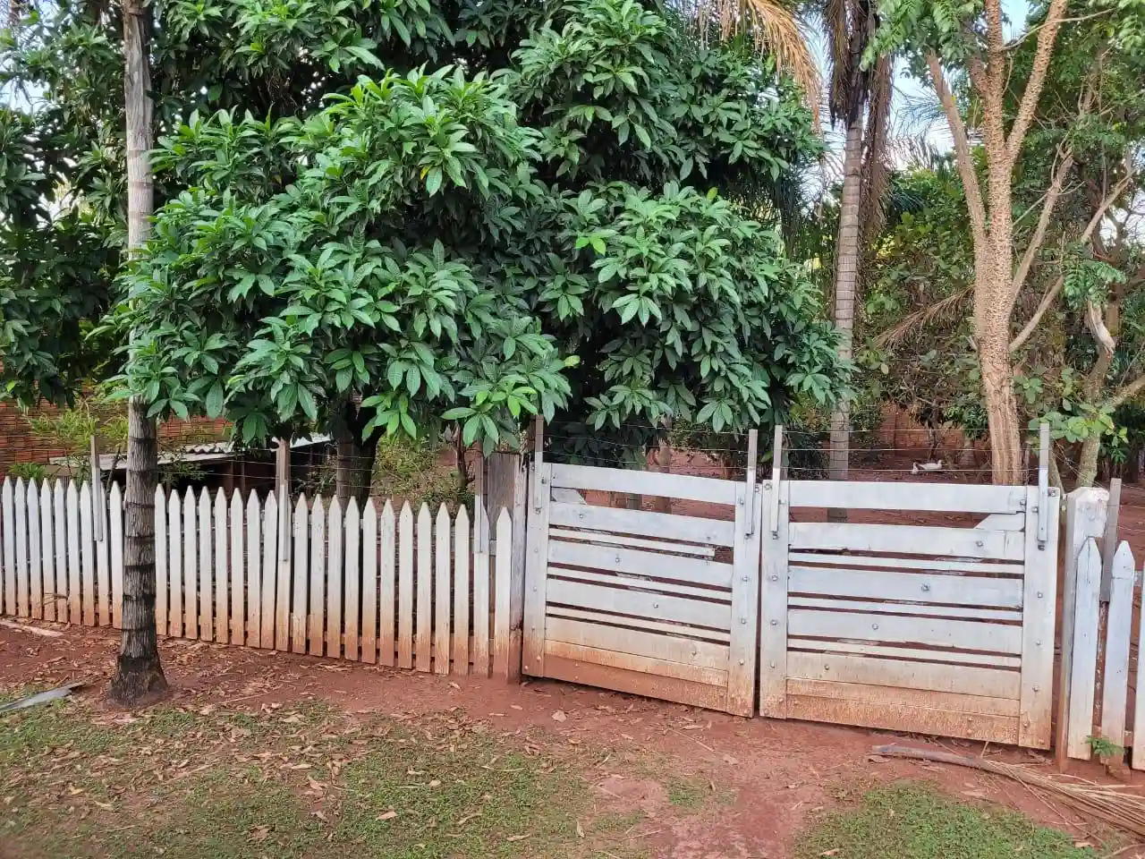 Fazenda / Sítio / Chácara com 3 quartos à venda, 1100m² — foto 15 de 25