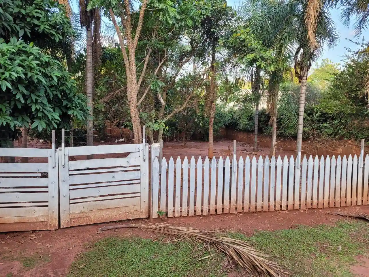 Fazenda / Sítio / Chácara com 3 quartos à venda, 1100m² — foto 13 de 25