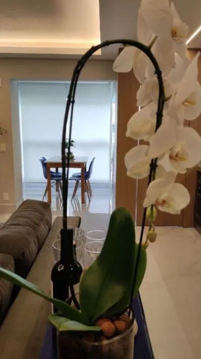 Apartamento à venda — foto 10 de 11