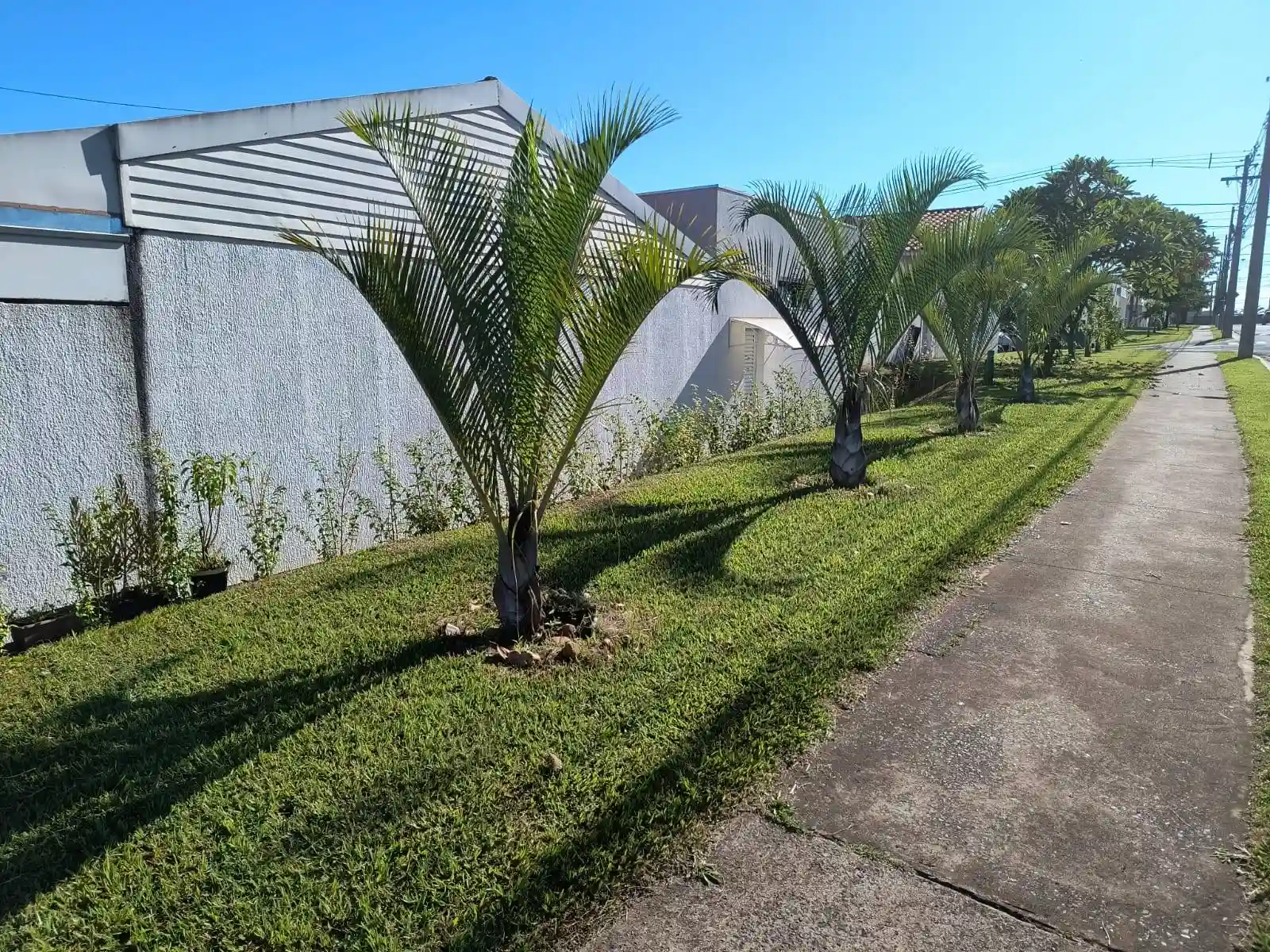 Casa de Condomínio com 2 quartos à venda, 97m² — foto 3 de 13