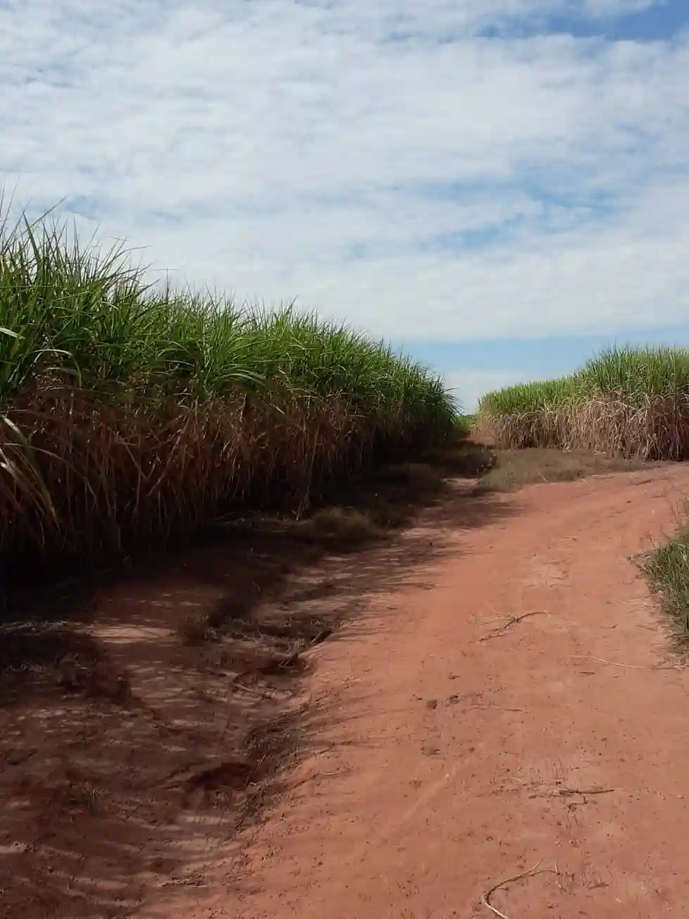 Fazenda / Sítio / Chácara à venda — foto 1 de 7