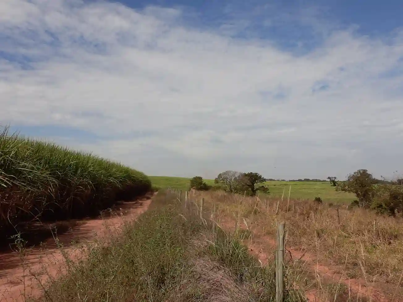 Fazenda / Sítio / Chácara à venda — foto 4 de 7